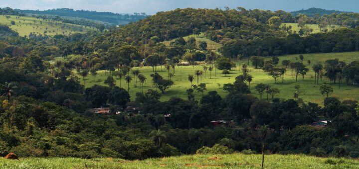 Masoala Trip Cost 2026: Flights, Boats, Park Fees & Full Budget Breakdown — Madagascar