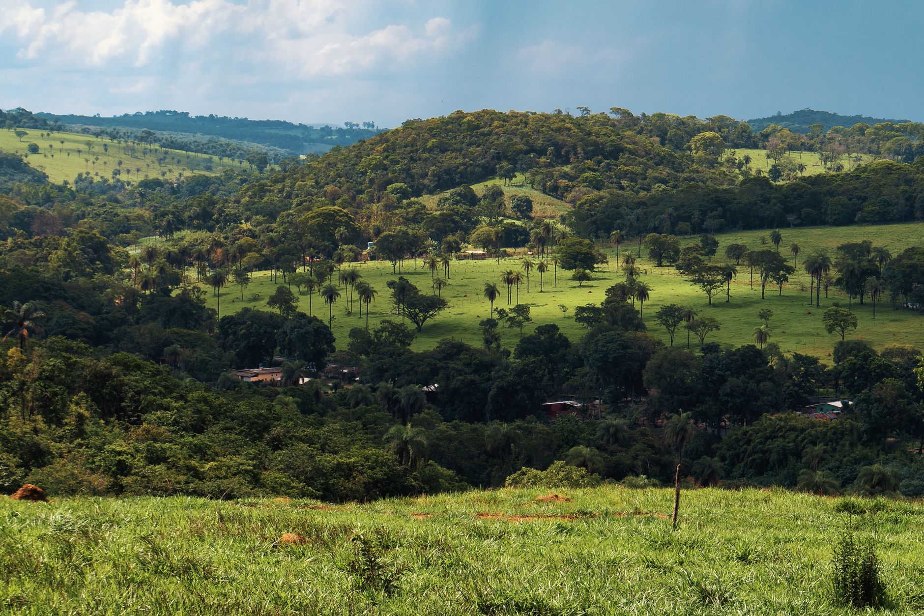 Masoala Trip Cost 2026: Flights, Boats, Park Fees & Full Budget Breakdown — Madagascar