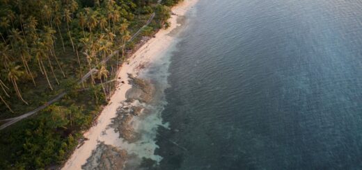 Miavana vs Anjajavy vs Tsara Komba 2026: Which Madagascar Ultra-Luxe Property Is Right For You — Madagascar