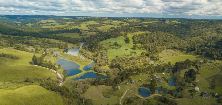 Montagne d'Ambre Trip Cost 2026: Park Fees, Guides & Full Budget Breakdown — Madagascar