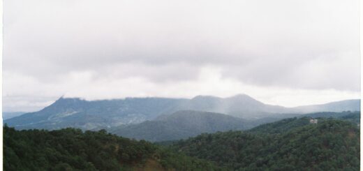 Montagne d'Ambre Wildlife 2026: Lemurs, Tiny Chameleons & Waterfall Forest — Madagascar