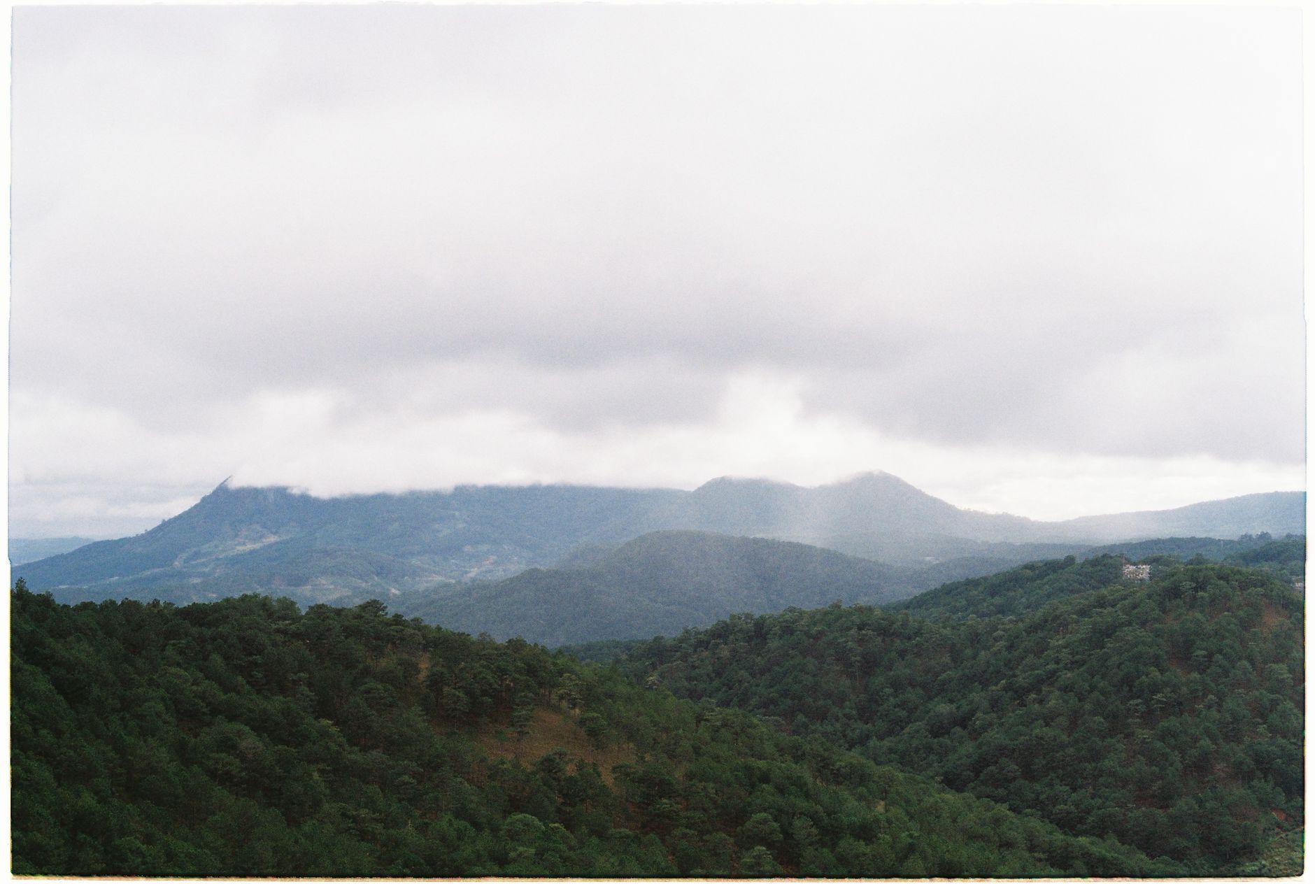 Montagne d'Ambre Wildlife 2026: Lemurs, Tiny Chameleons & Waterfall Forest — Madagascar