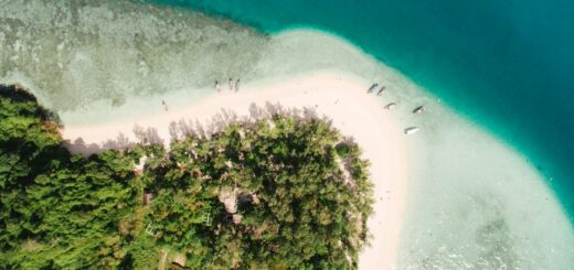 Nosy Be Cruise Port Guide: What to Do on a 1-Day Stop — Madagascar