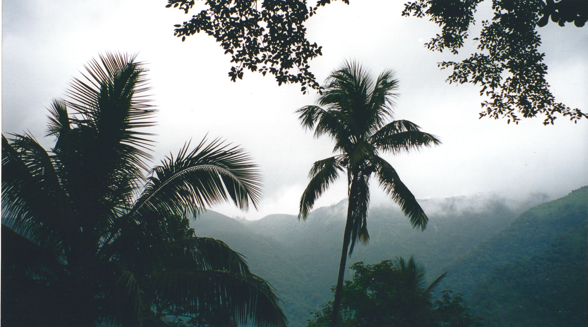 Ranomafana Tours & Packages 2026: Guided Walks, Trips & How to Book — Madagascar
