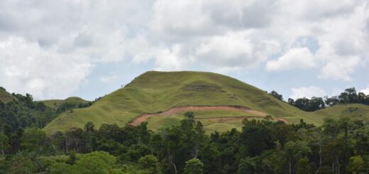 Ranomafana Trip Cost 2026: Park Fees, Guides & Full Budget Breakdown — Madagascar