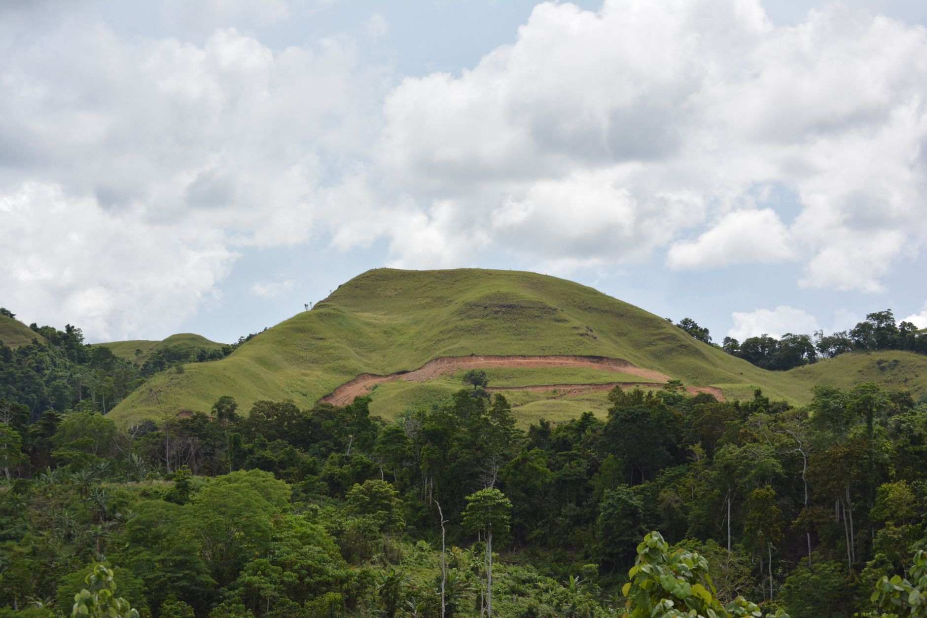 Ranomafana Trip Cost 2026: Park Fees, Guides & Full Budget Breakdown — Madagascar