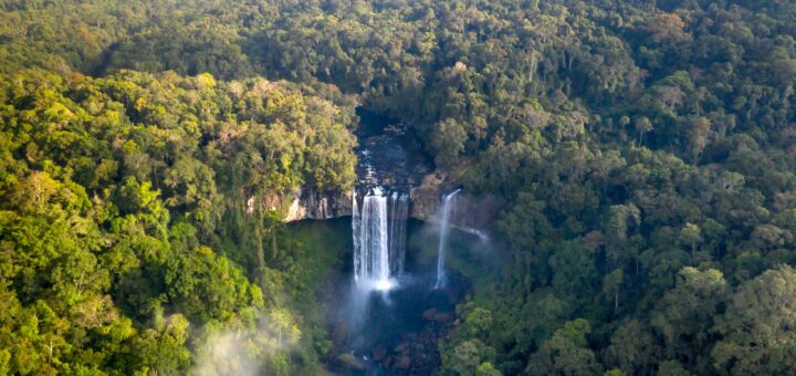 Ranomafana Wildlife 2026: Bamboo Lemurs, Night Walks & What You'll See — Madagascar