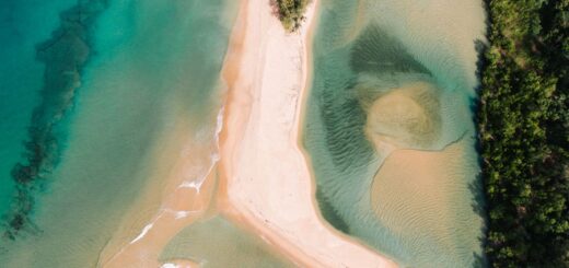 Sea Turtles of Madagascar: The Complete Guide 2026 — Madagascar