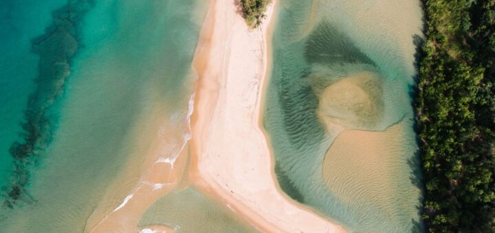 Sea Turtles of Madagascar: The Complete Guide 2026 — Madagascar