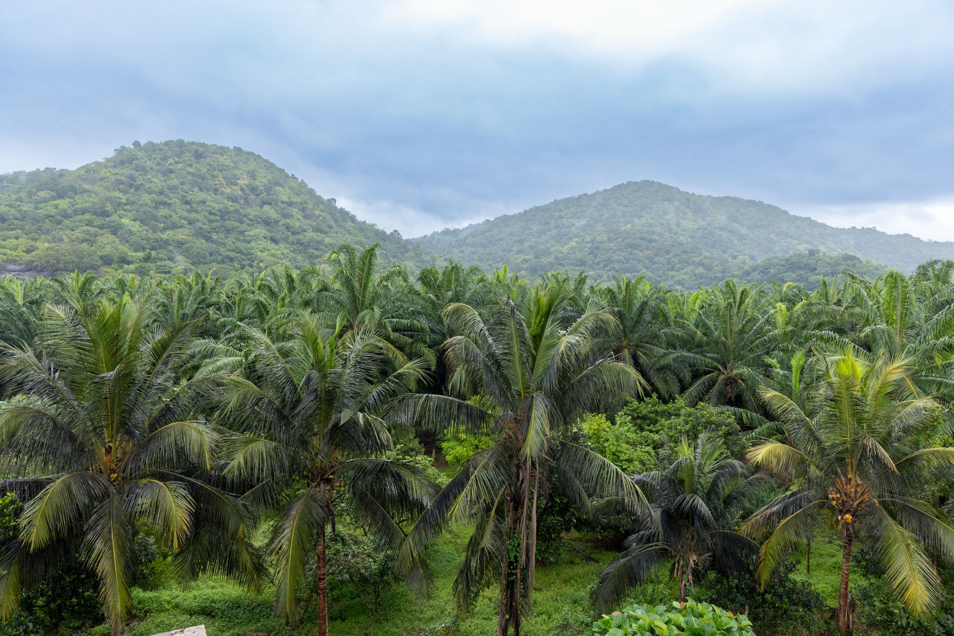 Southern Madagascar Tour Packages 2026: RN7, Ranomafana, Isalo & the Coast — Madagascar