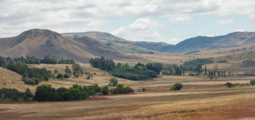 Madagascar - Splurge vs Save in Madagascar: 15 Things Worth Paying More For