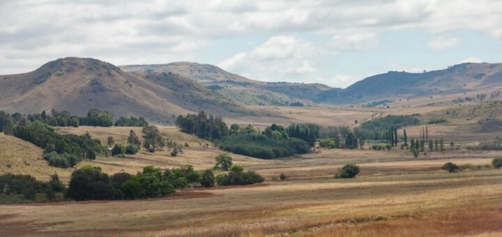 Madagascar - Splurge vs Save in Madagascar: 15 Things Worth Paying More For
