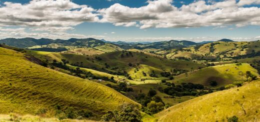 Madagascar - Splurge vs Save Madagascar: 20 Things Worth Paying More For 2026