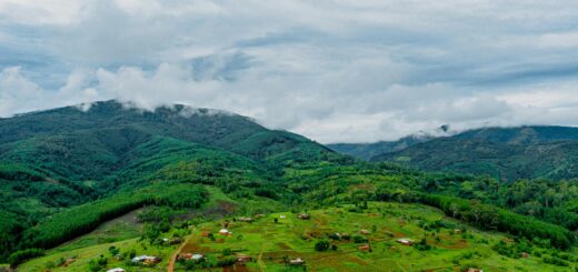 Madagascar - Supporting Conservation in Madagascar: NGOs Worth Donating To on Your Trip