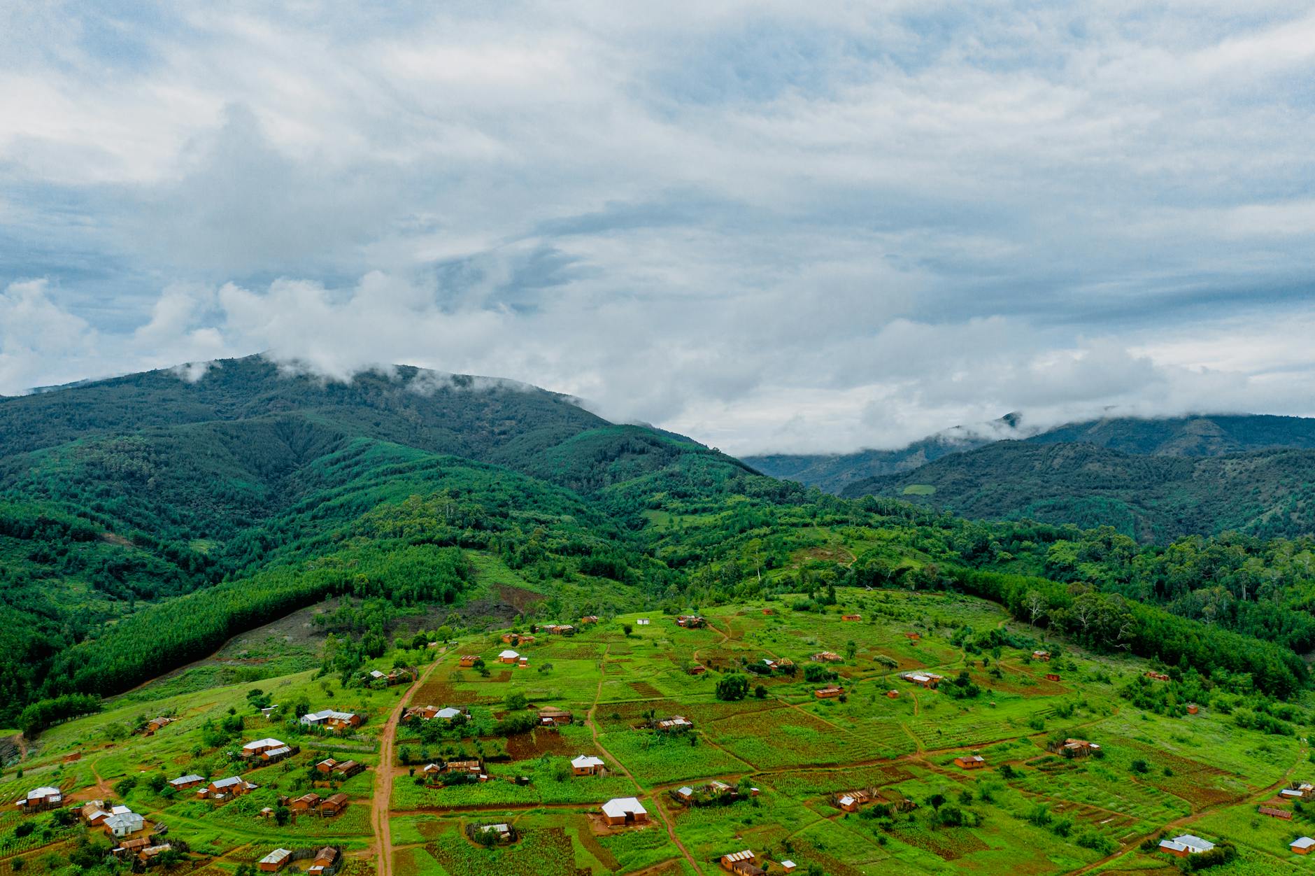 Supporting Conservation in Madagascar: NGOs Worth Donating To on Your Trip — Madagascar