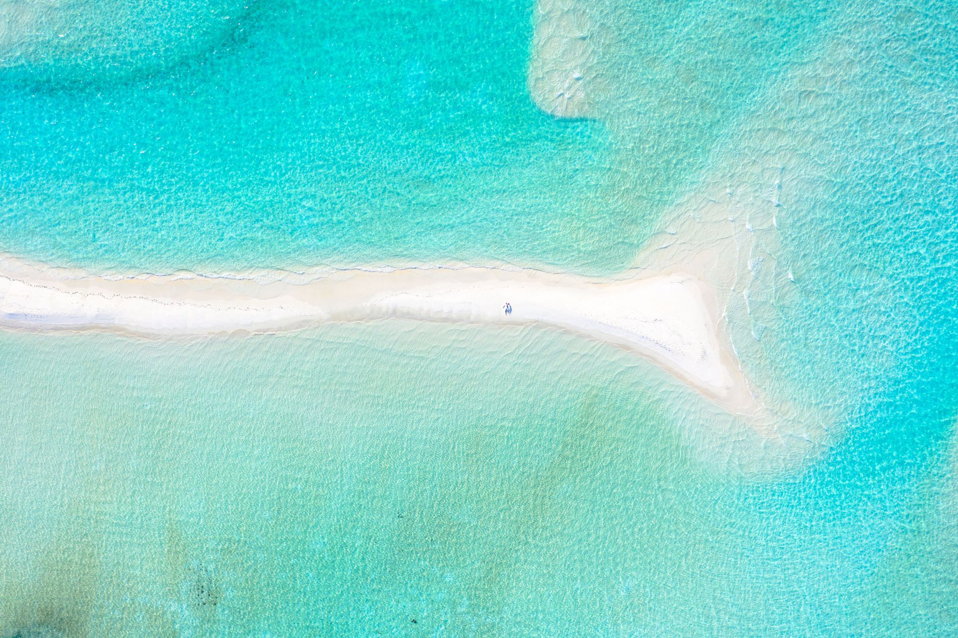 Swimming with Whale Sharks in Nosy Be 2026: What the Experience Is Really Like — Madagascar