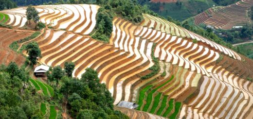 15 Best Things to Do in Antsirabe 2026: Thermal Baths, Crater Lakes & Pousse-Pousse — Madagascar