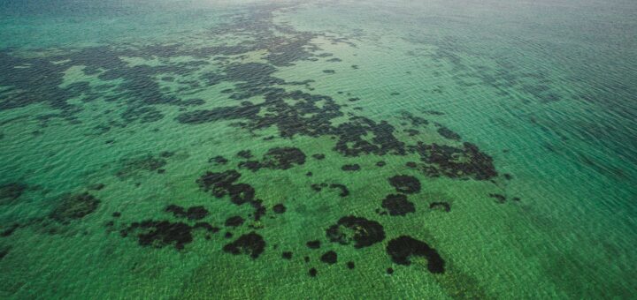 Things to Do in Toliara & Ifaty 2026: Reef, Spiny Forest & Beaches — Madagascar