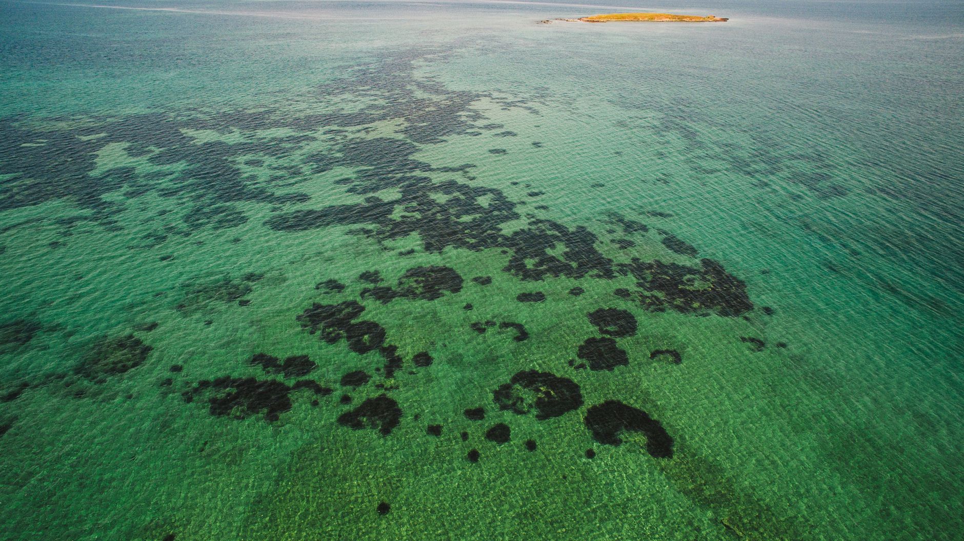 Things to Do in Toliara & Ifaty 2026: Reef, Spiny Forest & Beaches — Madagascar