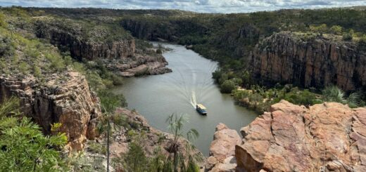 Things to Do at Tsingy de Bemaraha 2026: Via Ferrata, Manambolo & Wildlife — Madagascar