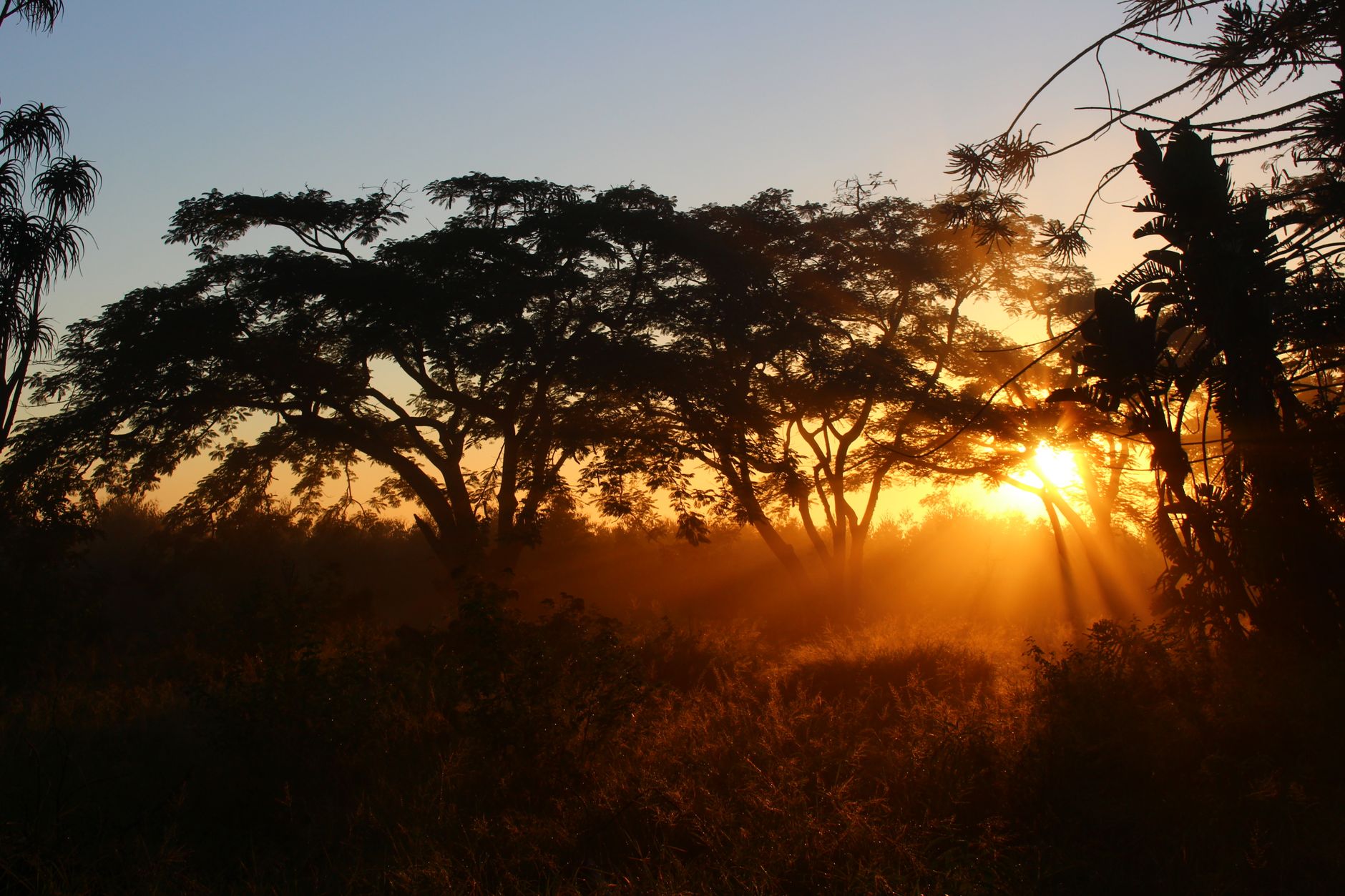 Tsingy de Bemaraha Trip Cost 2026: Park Fees, 4x4, Guides & Full Budget — Madagascar