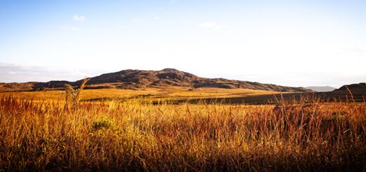 Madagascar - Understanding Mora Mora: Madagascar's Philosophy of Slow Travel and Patience