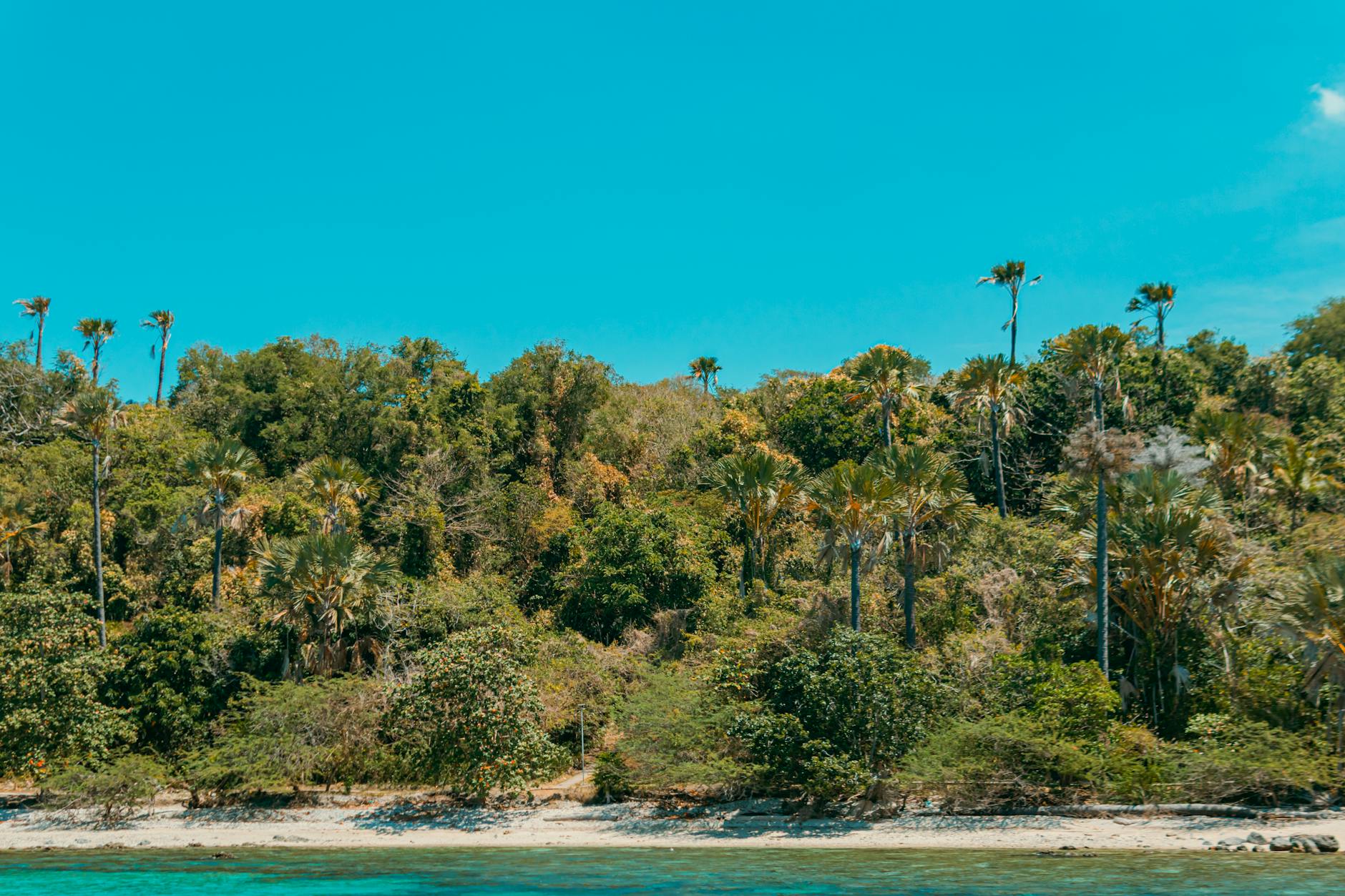 Whale Season Madagascar: July–September Planning Guide 2026 — Madagascar