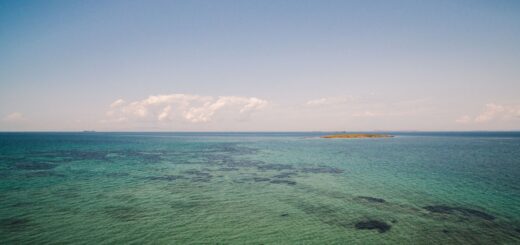 Whale Sharks vs Humpback Whales in Madagascar 2026: Which Marine Encounter & When? — Madagascar