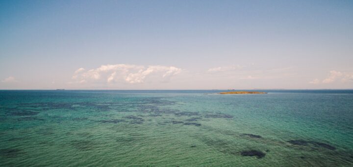 Whale Sharks vs Humpback Whales in Madagascar 2026: Which Marine Encounter & When? — Madagascar