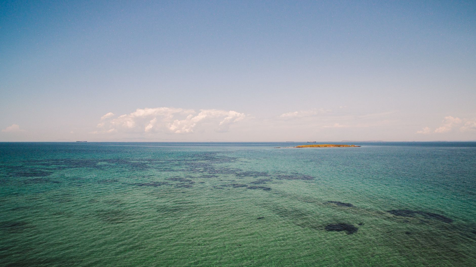 Whale Sharks vs Humpback Whales in Madagascar 2026: Which Marine Encounter & When? — Madagascar