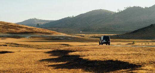 Madagascar - When NOT to Visit Madagascar: Months to Avoid and Exactly Why