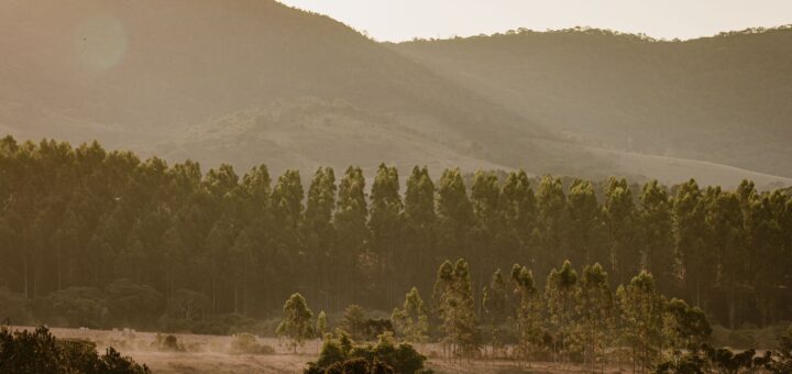 When to Book a Madagascar Trip 2026: How Far Ahead to Plan & Reserve — Madagascar
