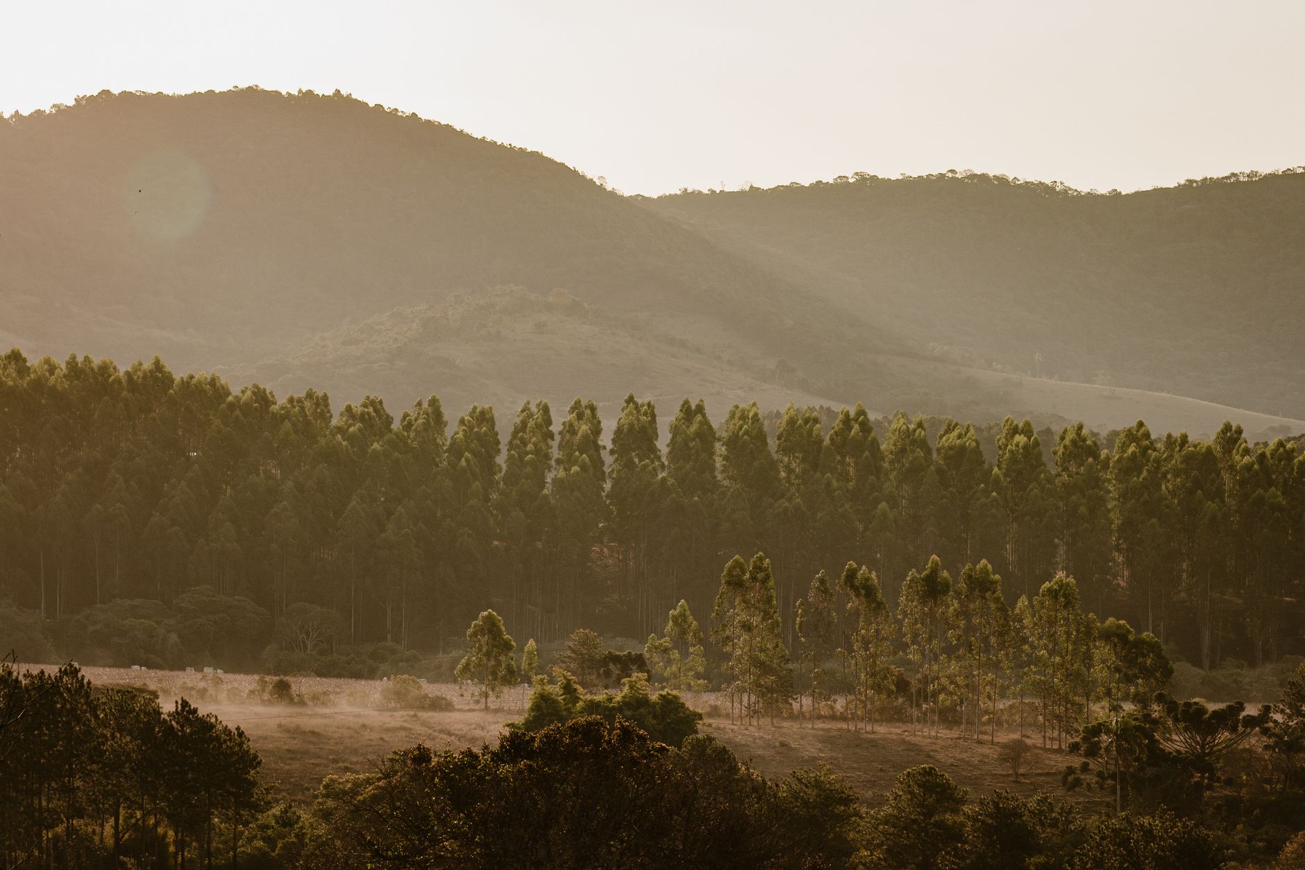 When to Book a Madagascar Trip 2026: How Far Ahead to Plan & Reserve — Madagascar