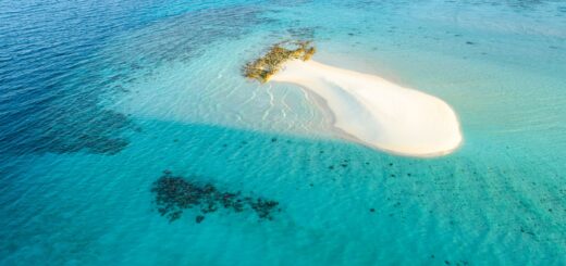 Where to See Sea Turtles in Madagascar 2026: Best Snorkelling Spots & Sites — Madagascar