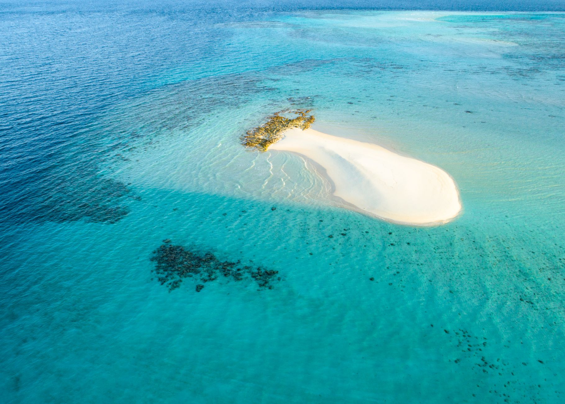 Where to See Sea Turtles in Madagascar 2026: Best Snorkelling Spots & Sites — Madagascar