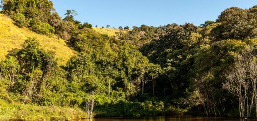 Where to Stay at Andringitra & Tsaranoro 2026: Lodges, Camps & Bases — Madagascar