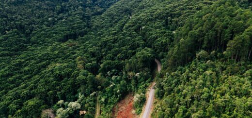 Where to Stay for Marojejy 2026: Andapa, Sambava & the Park Camps — Madagascar