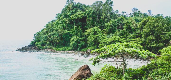 Where to Stay for Masoala 2026: Maroantsetra, Peninsula Lodges & Eco-Camps — Madagascar
