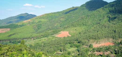 Where to Stay at Ranomafana 2026: Best Lodges & Hotels Near the Park — Madagascar