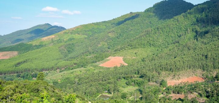 Where to Stay at Ranomafana 2026: Best Lodges & Hotels Near the Park — Madagascar