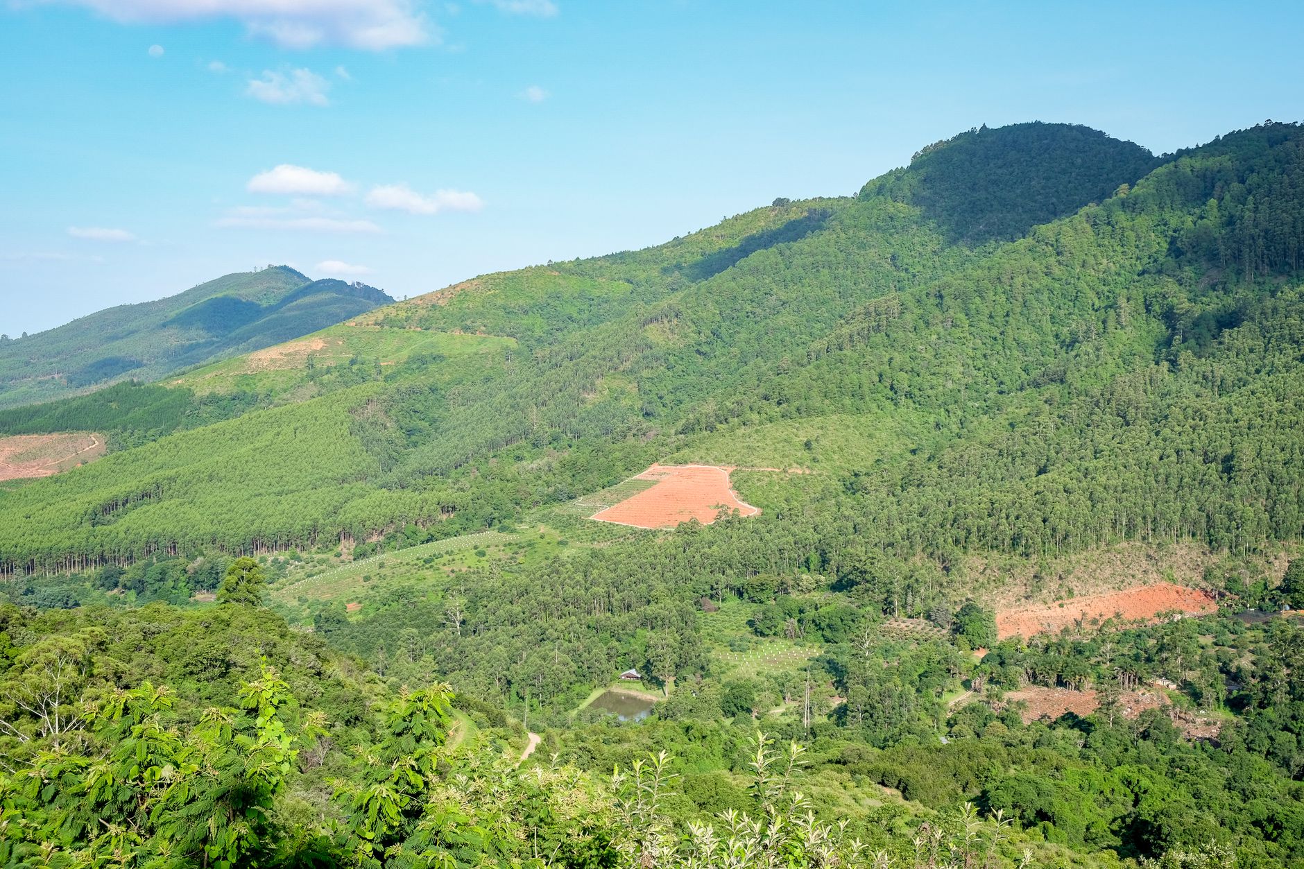 Where to Stay at Ranomafana 2026: Best Lodges & Hotels Near the Park — Madagascar