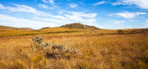 Madagascar - Your Legal Rights as a Tourist in Madagascar: What the Law Protects 2026