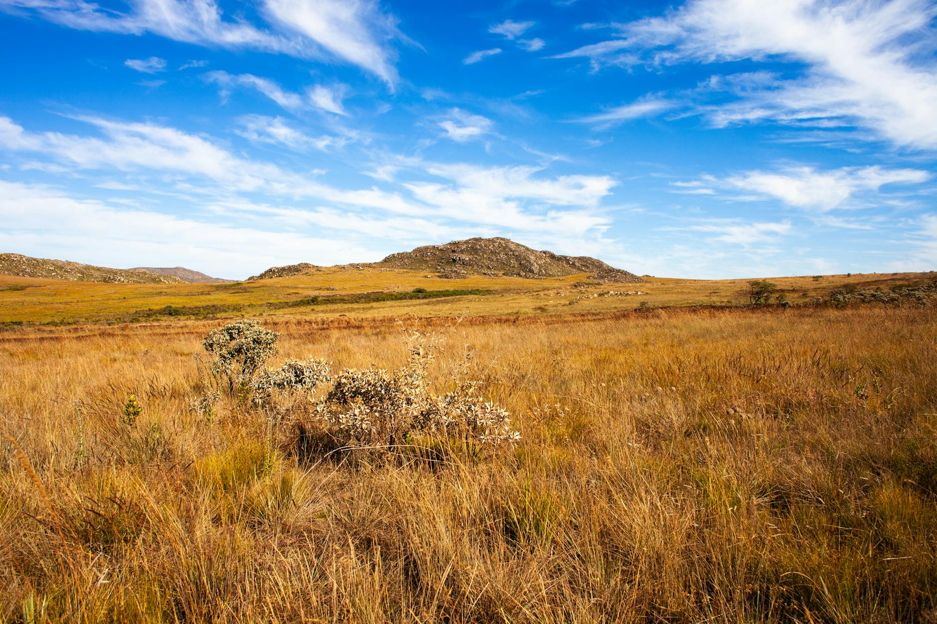 Your Legal Rights as a Tourist in Madagascar: What the Law Protects 2026 — Madagascar