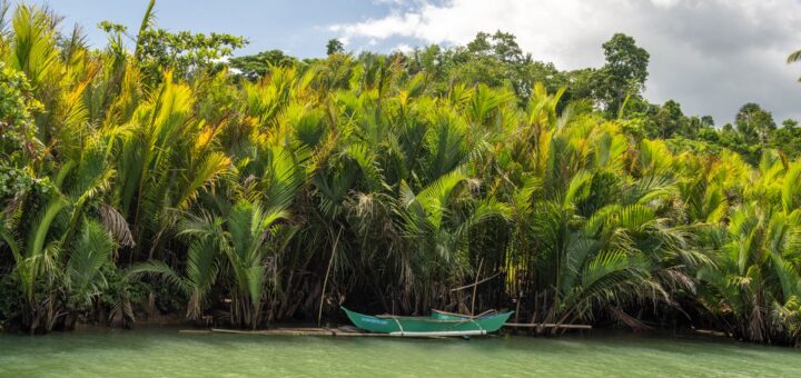 Manakara, Madagascar: End of the Jungle Railway on the Wild East Coast
