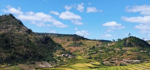 Terraced rice fields in the Madagascar highlands near Antsirabe, the Vakinankaratra region where Lake Tritriva lies