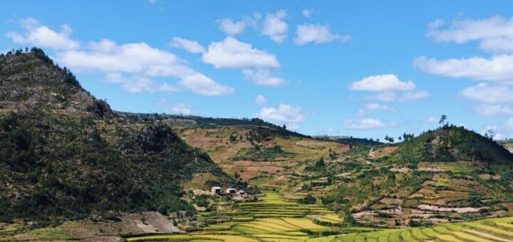 Terraced rice fields in the Madagascar highlands near Antsirabe, the Vakinankaratra region where Lake Tritriva lies